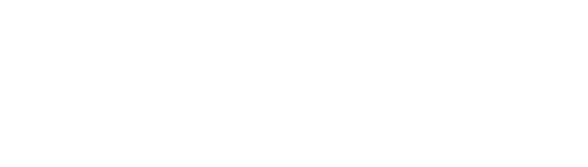 Repz Fit
